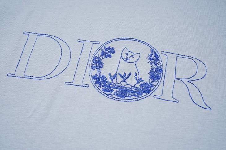 Dior T Shirts Short _SKUDiorS-3XLyktrT10115874
